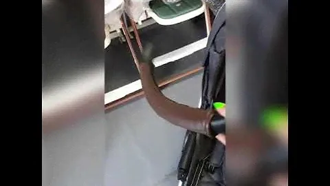 Коляска прогулочная Carrello Vista (Карело Виста) в наличии в Казани недорого