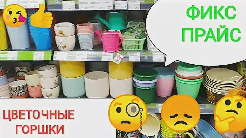 ФИКС ПРАЙС🍀Цветочные горшки 🤔❓Где найти горшки, как быть?