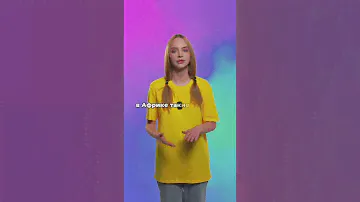 Почему вода из воздуха — это уже реальность?