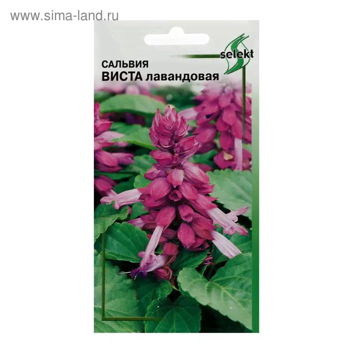 Семена цветов Сальвия "Виста", лавандовая, 10 шт