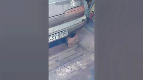 Тойота виста отстреливает!